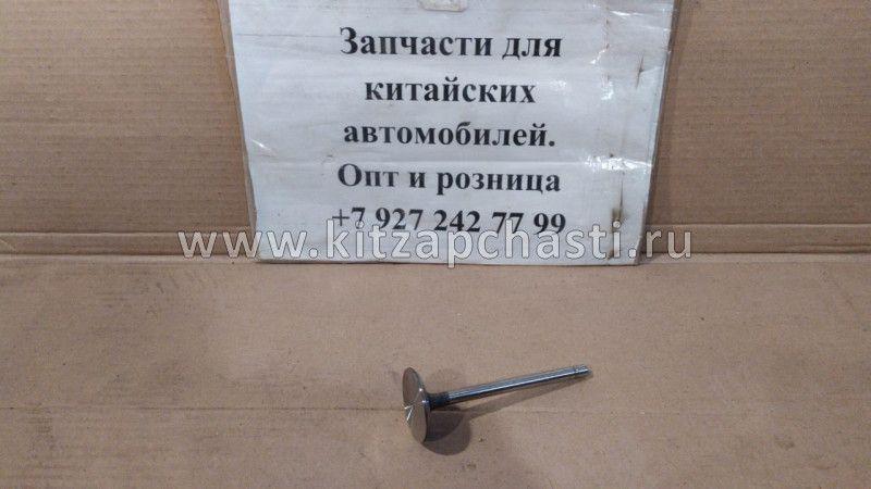 Клапан впускной BAW Fenix 1044 Евро 3 1007011X2