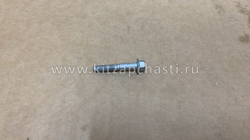 БОЛТ КРЫШКИ КЛАПАННОЙ Chery Tiggo 4 FL 481H-1003043